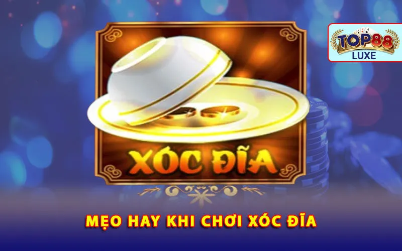 meo-hay-khi-choi-xoc-dia