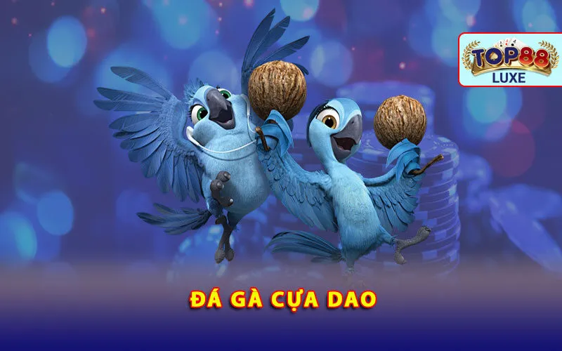 da-ga-cua-dao