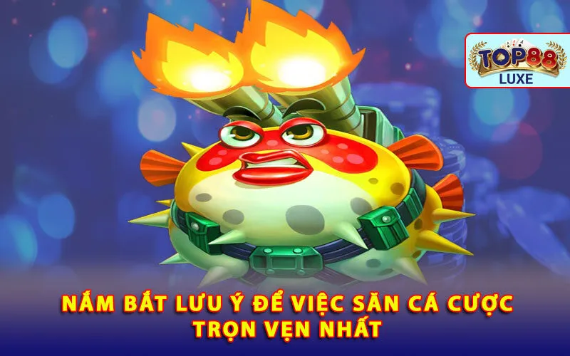 nam-bat-luu-y-de-viec-san-ca-cuoc-tron-ven-nhat