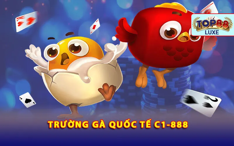 truong-ga-quoc-te-c1-888